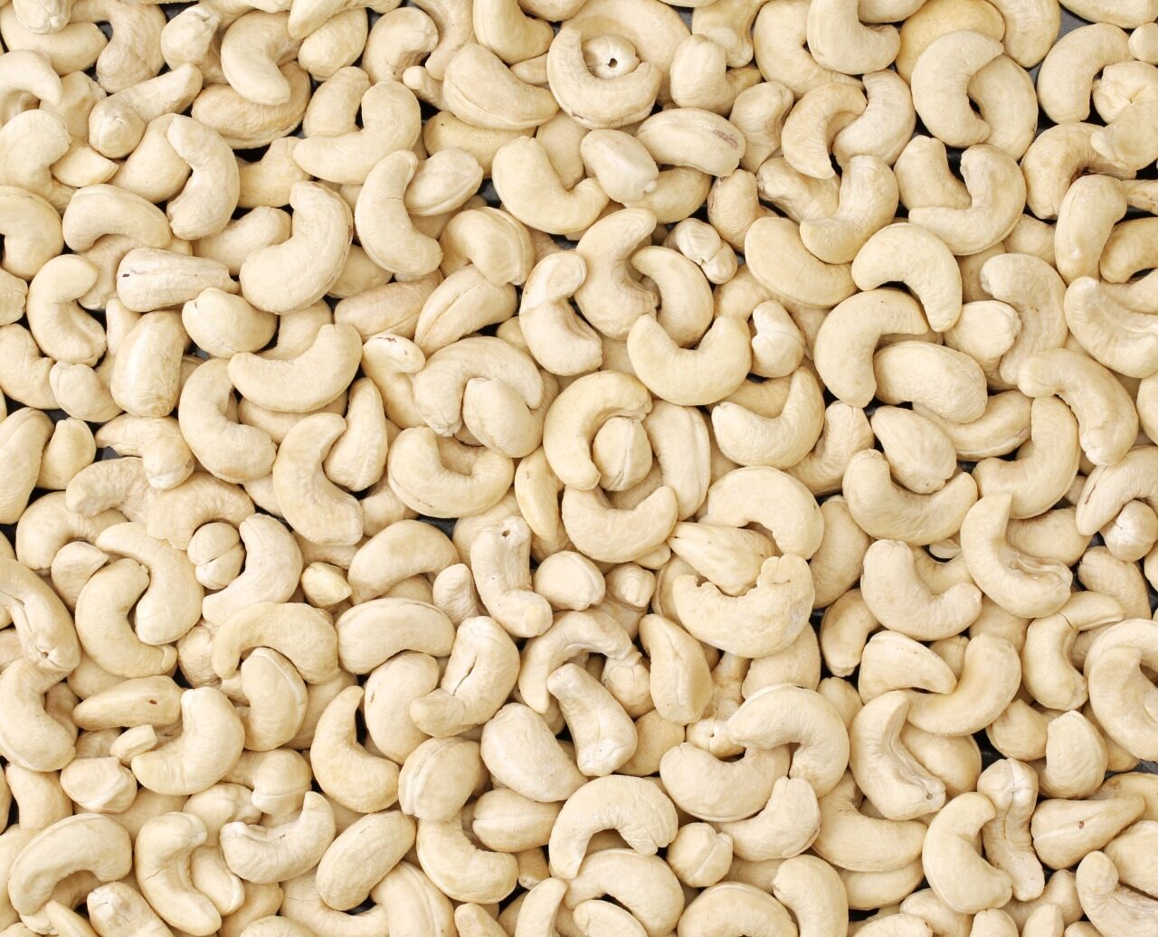 Cashew Kernels Vlc